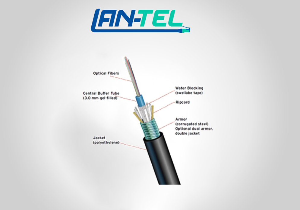 Câble Fibre Optique OM2 50/125 6 Brins Armé