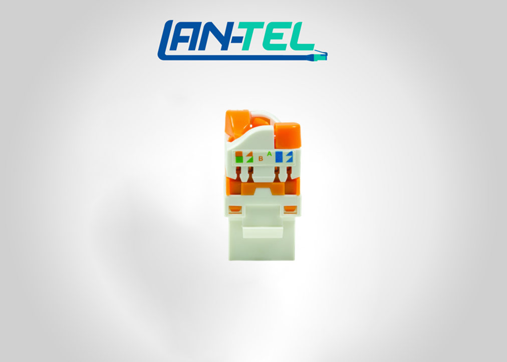 Noyau UTP Catégorie 5E – Image 3